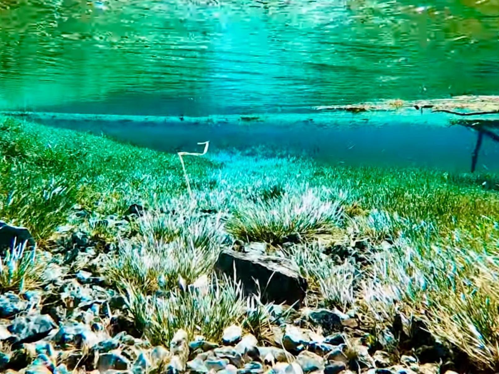 Gruener See Exklusiv Oberort Exteriér fotografie